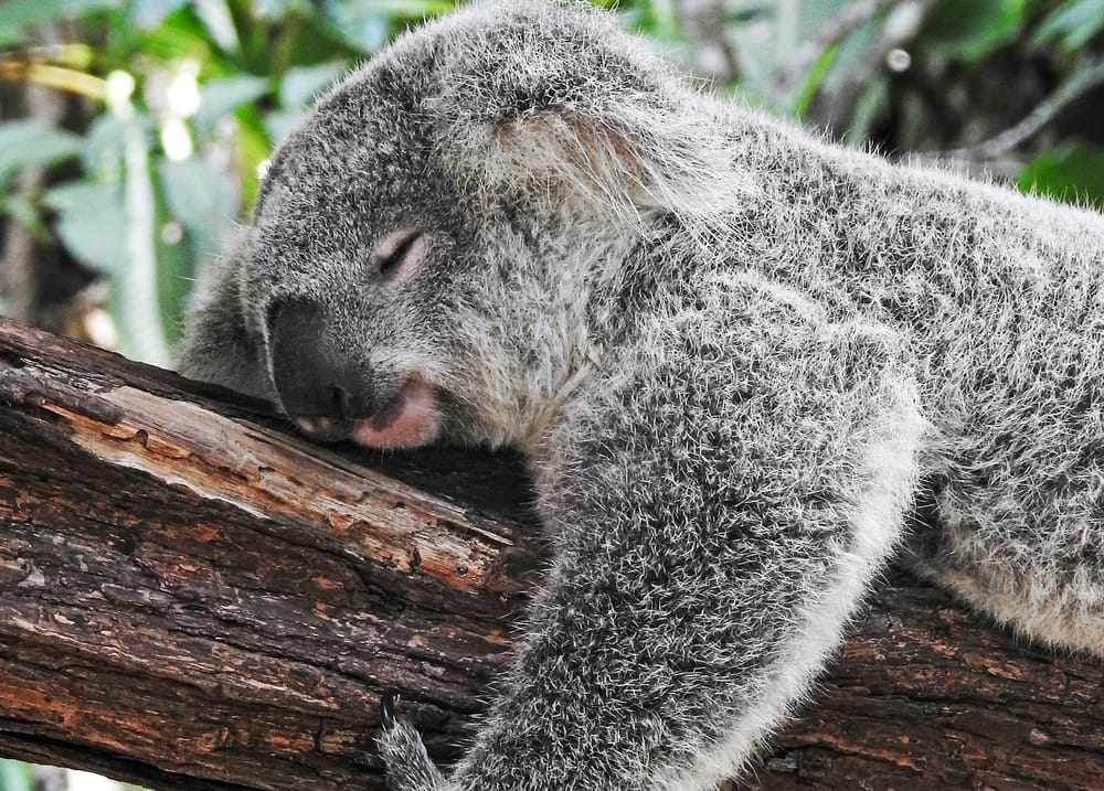 Sleep Latency: what does it mean?