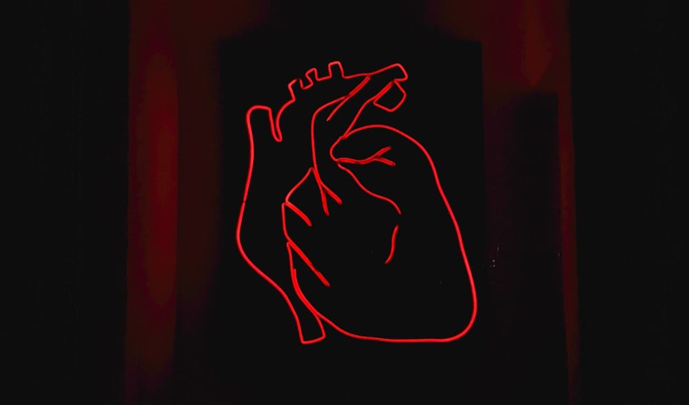 Sodium and Potassium: conductors of your heartbeat