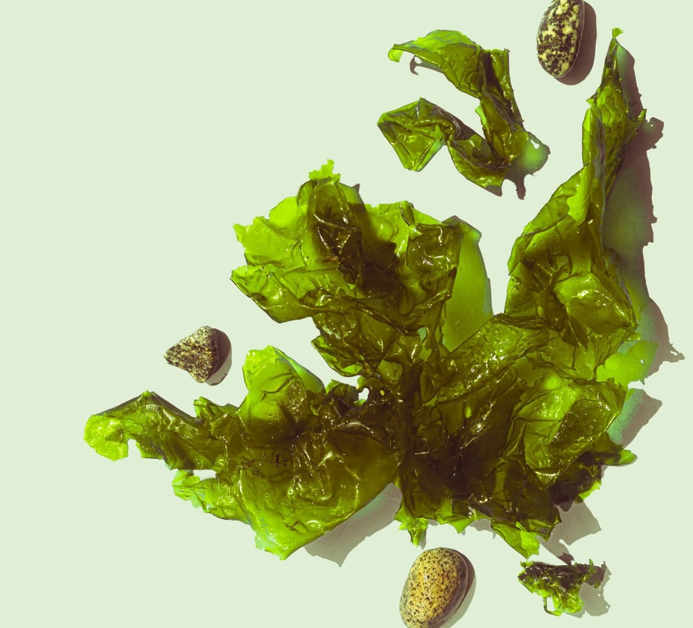 TSH: when your body becomes overactive