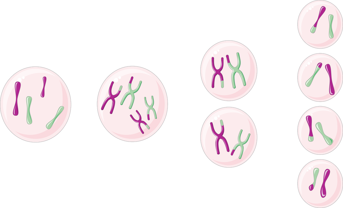 Driver Mutations - what are they?