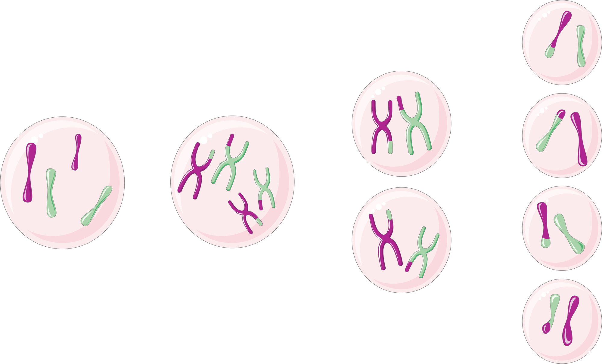 Driver Mutations - what are they?