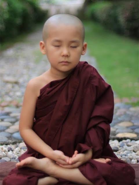 Monks in Disguise