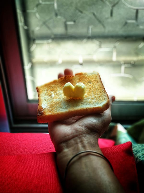 Saturated Fat - good or bad?