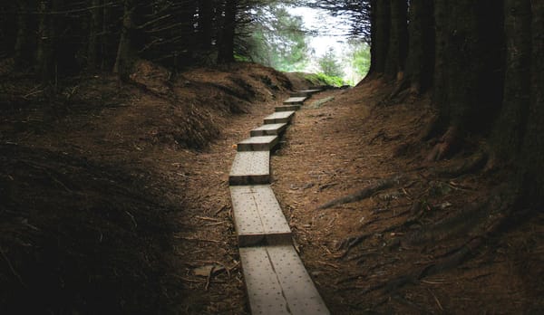 Balance: An autonomic function