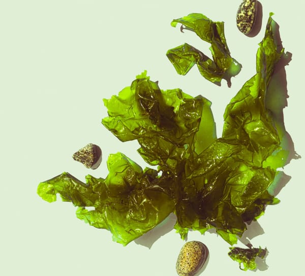 TSH: when your body becomes overactive