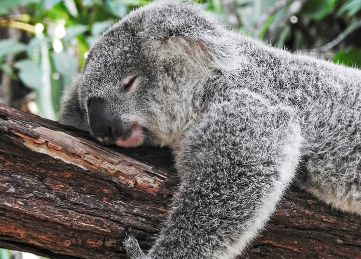 Sleep Latency: what does it mean?